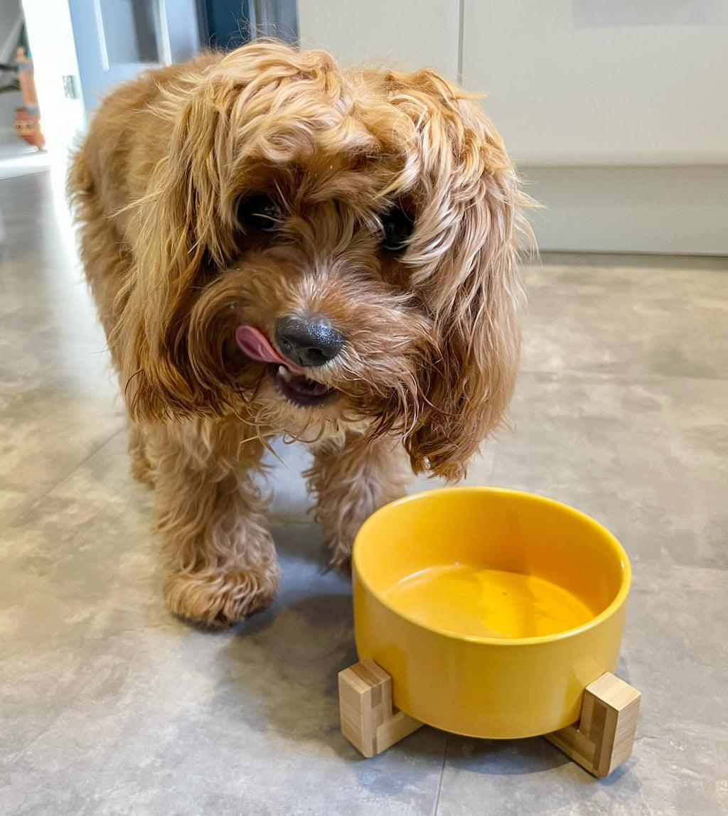 Ceramic Bowl product image 11