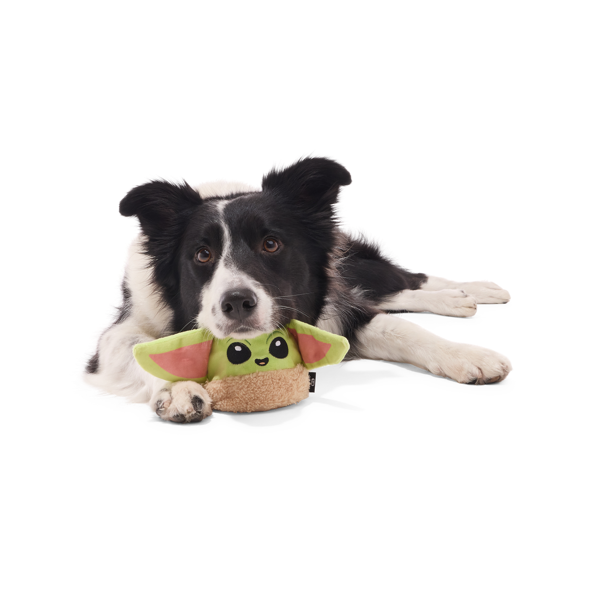 Treat-Dispensing Dog Toy product image 2