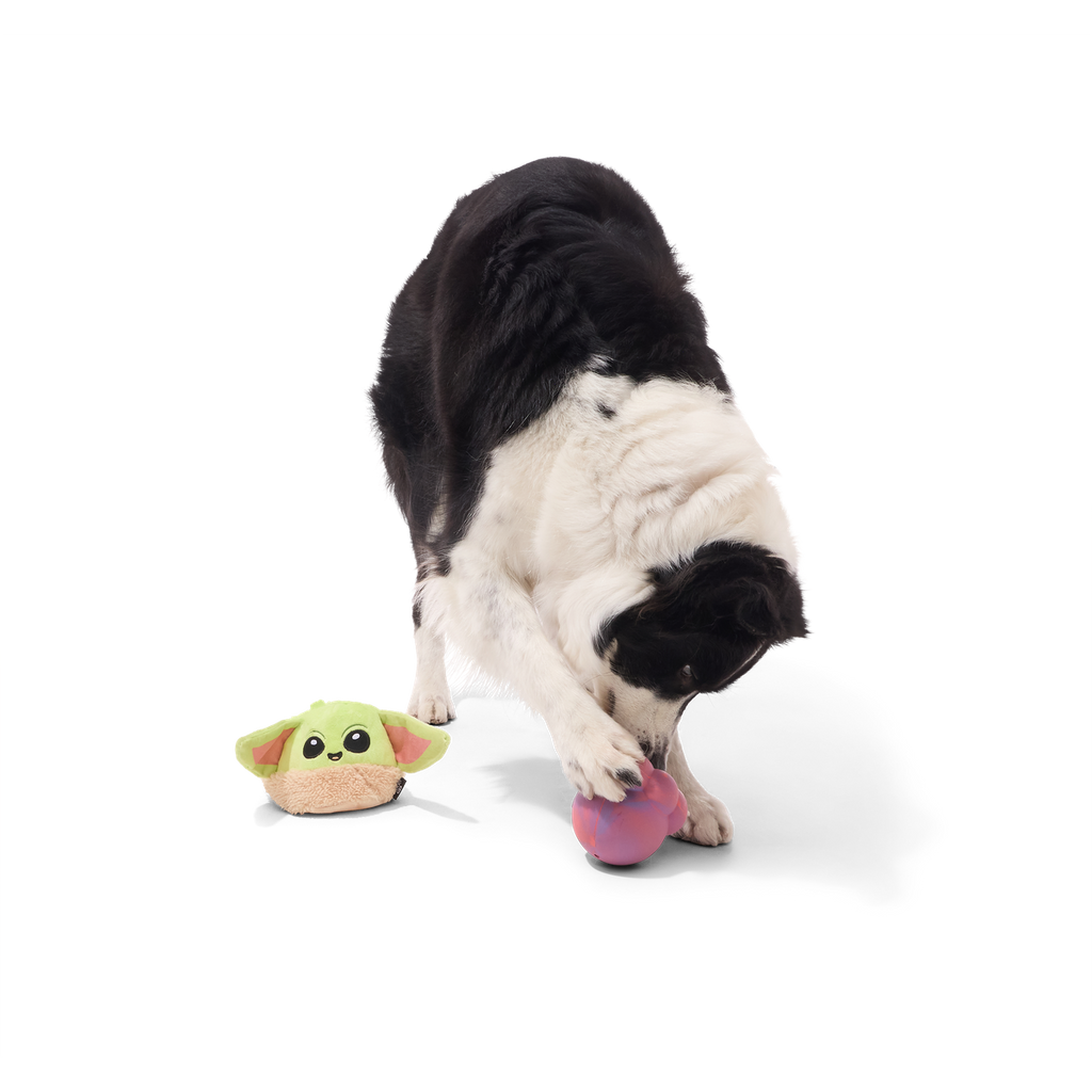 Treat-Dispensing Dog Toy product image 3