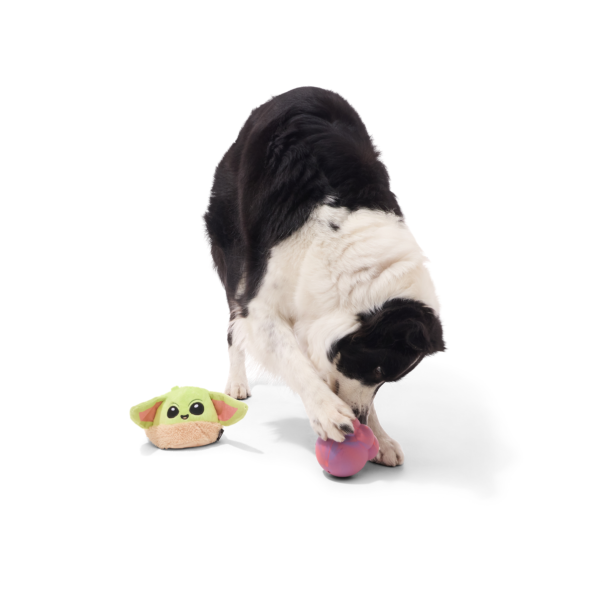 Treat-Dispensing Dog Toy product image 3