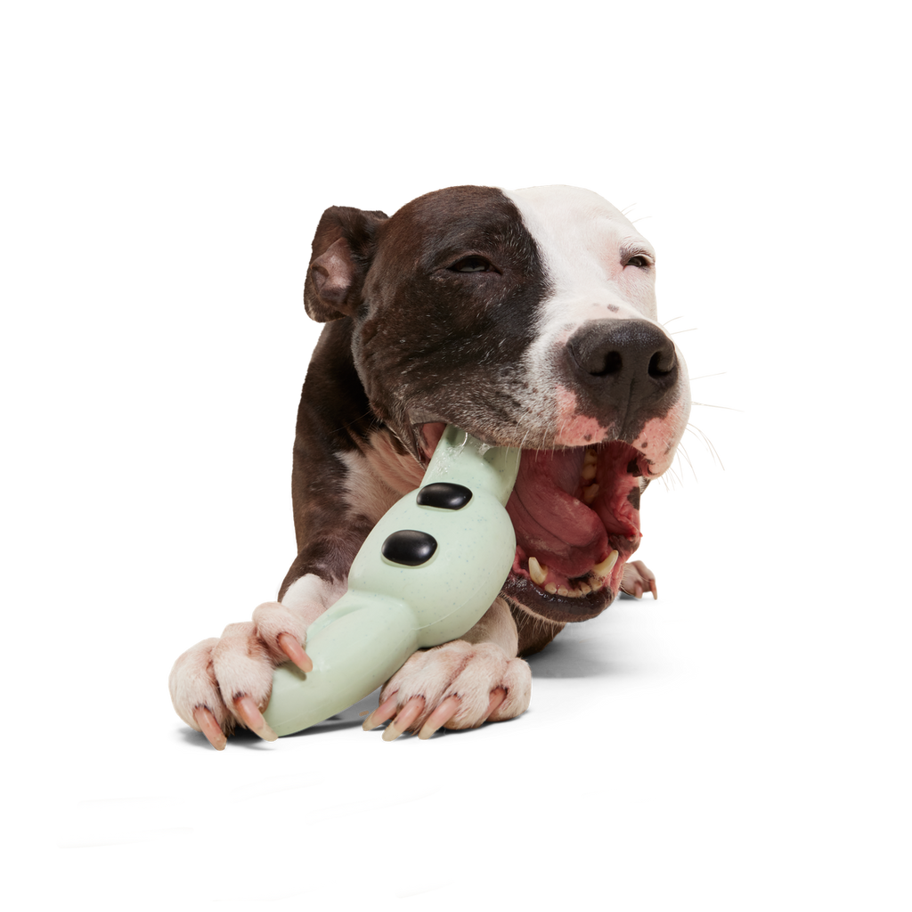 Nylon Dog Chew Toy product image 2