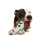 Nylon Dog Chew Toy product image 2