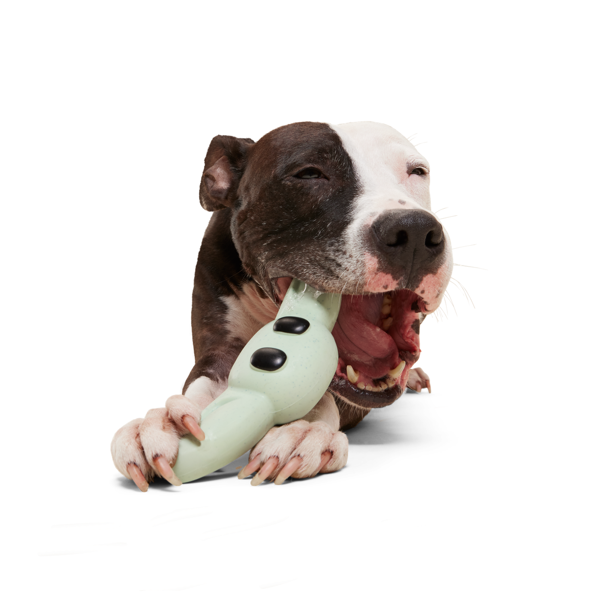 Nylon Dog Chew Toy product image 2