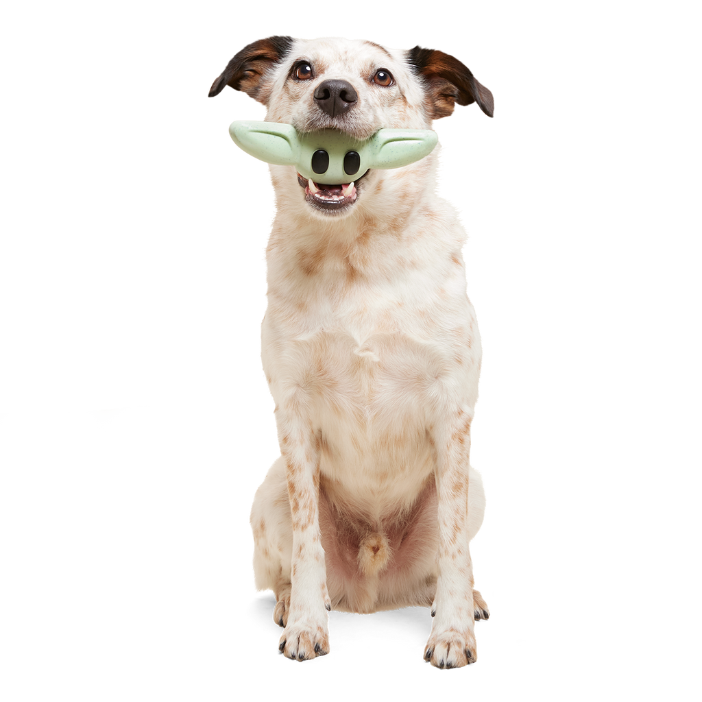 Nylon Dog Chew Toy product image 3