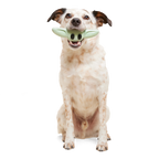Nylon Dog Chew Toy product image 3