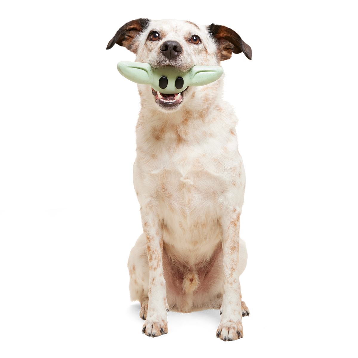 Nylon Dog Chew Toy product image 3