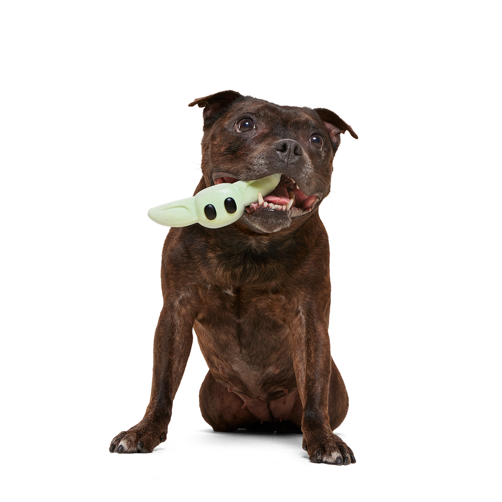 Nylon Dog Chew Toy product image 4