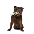 Nylon Dog Chew Toy product image 4