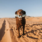 Nylon Dog Chew Toy product image 5