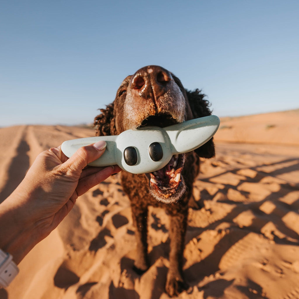 Nylon Dog Chew Toy product image 6