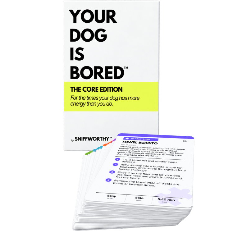 Dog Enrichment Cards product image 1