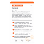 Dog Enrichment Cards product image 4