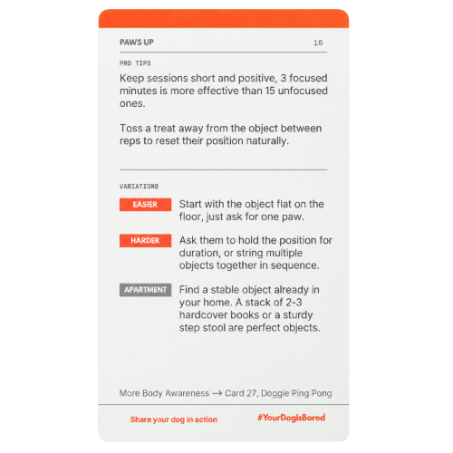 Dog Enrichment Cards product image 5