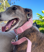 Martingale Collar product image 4