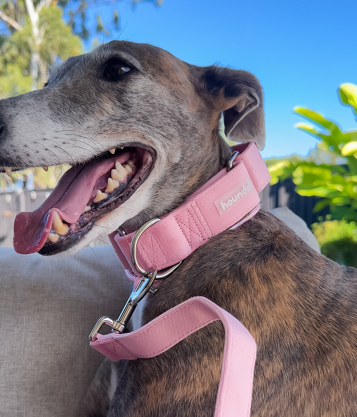Martingale Collar product image 4