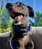 Martingale Collar product image 5