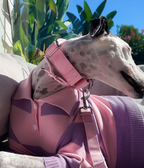Martingale Collar product image 8