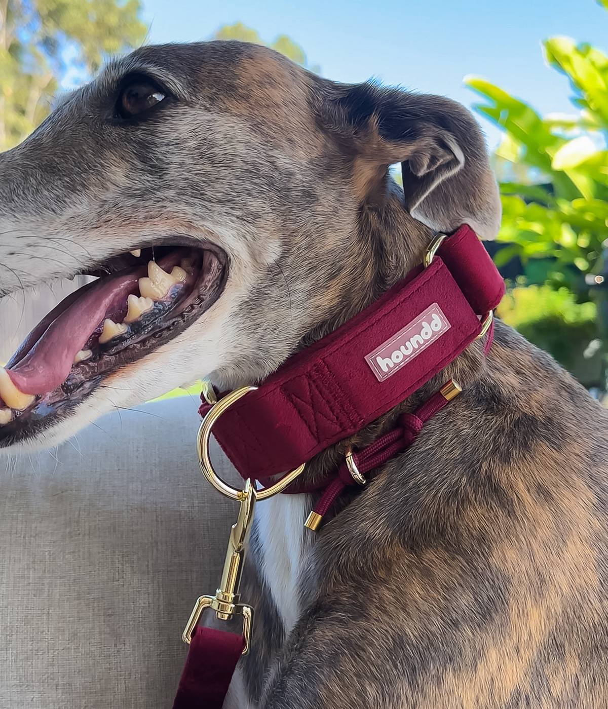Martingale Collar product image 14