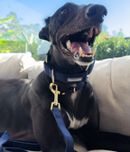Martingale Collar product image 23