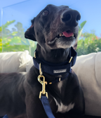 Martingale Collar product image 25