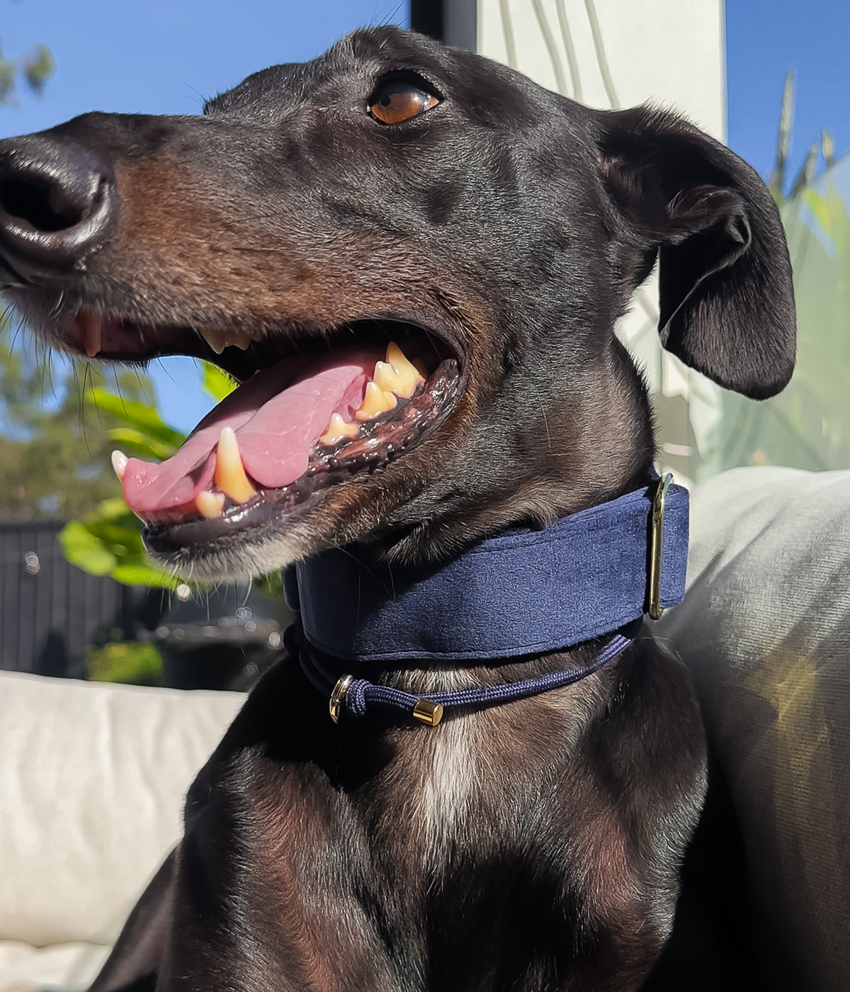 Martingale Collar product image 26