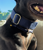 Martingale Collar product image 28
