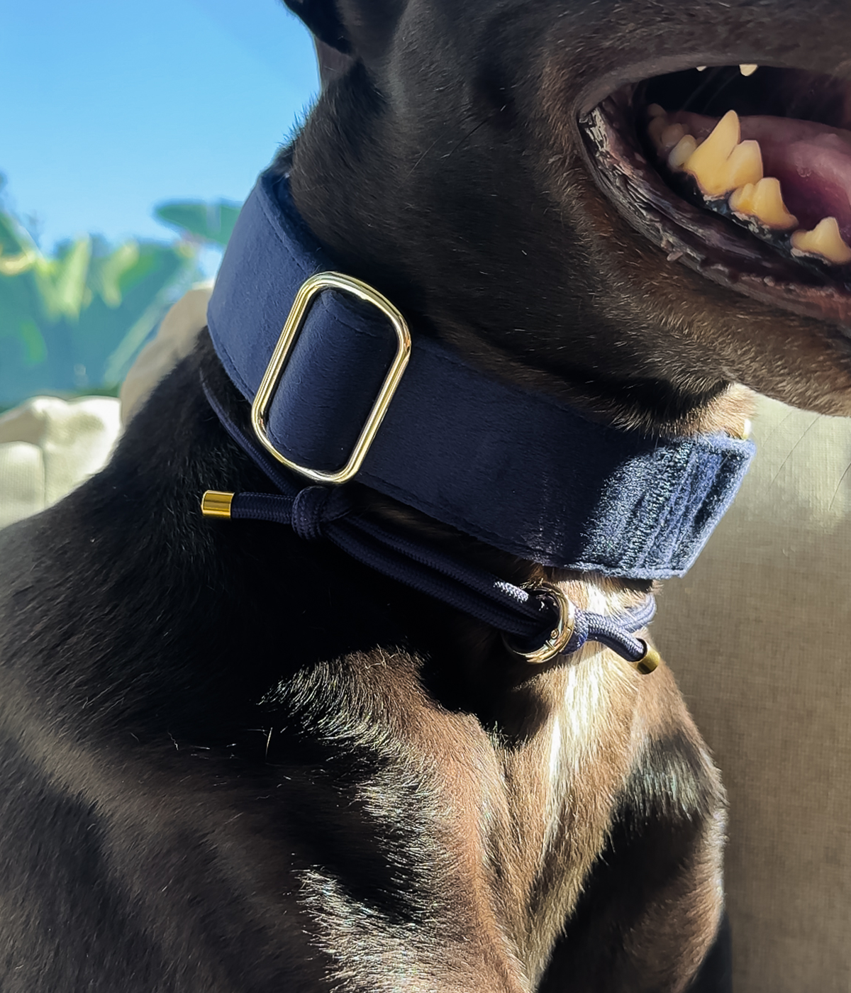 Martingale Collar product image 28
