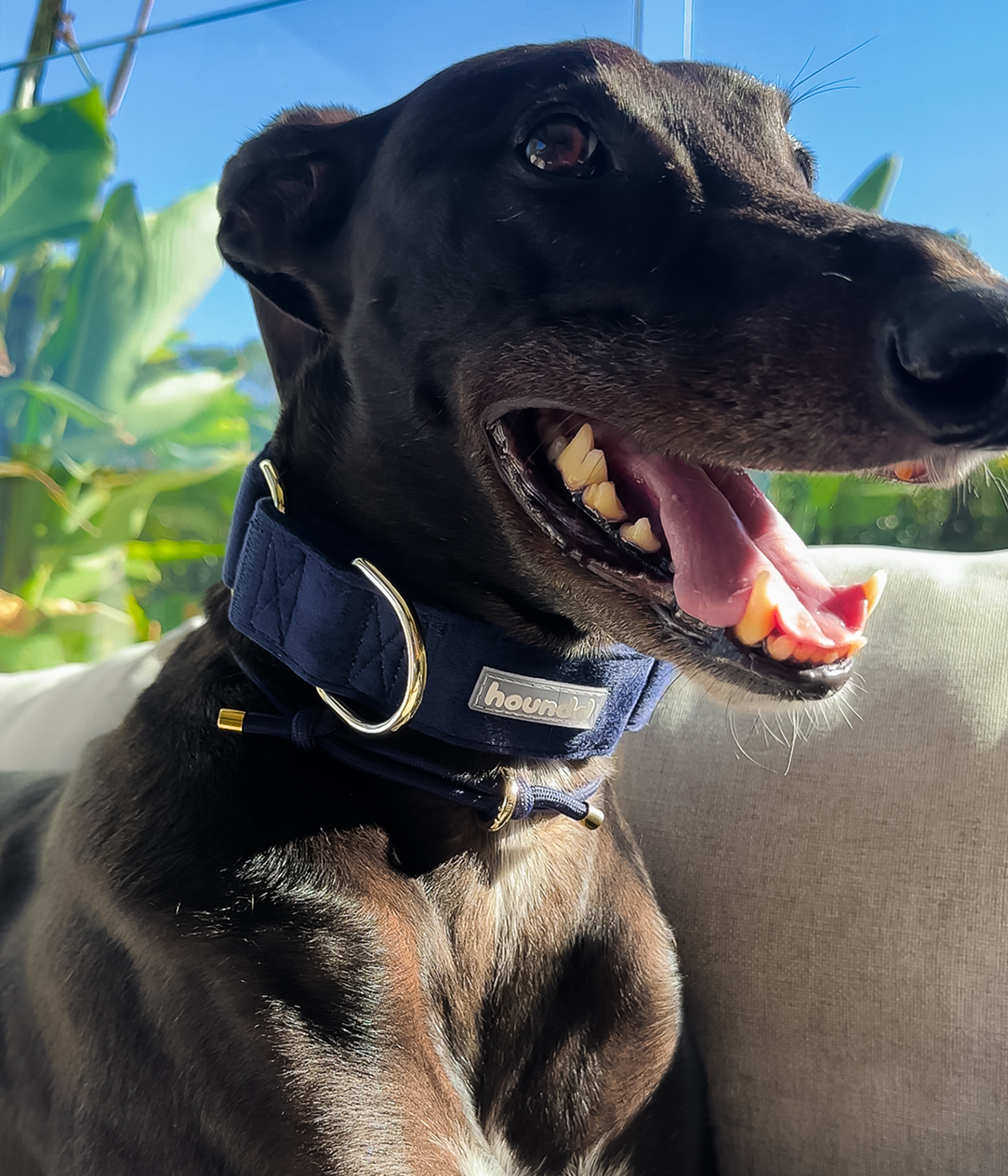 Martingale Collar product image 29