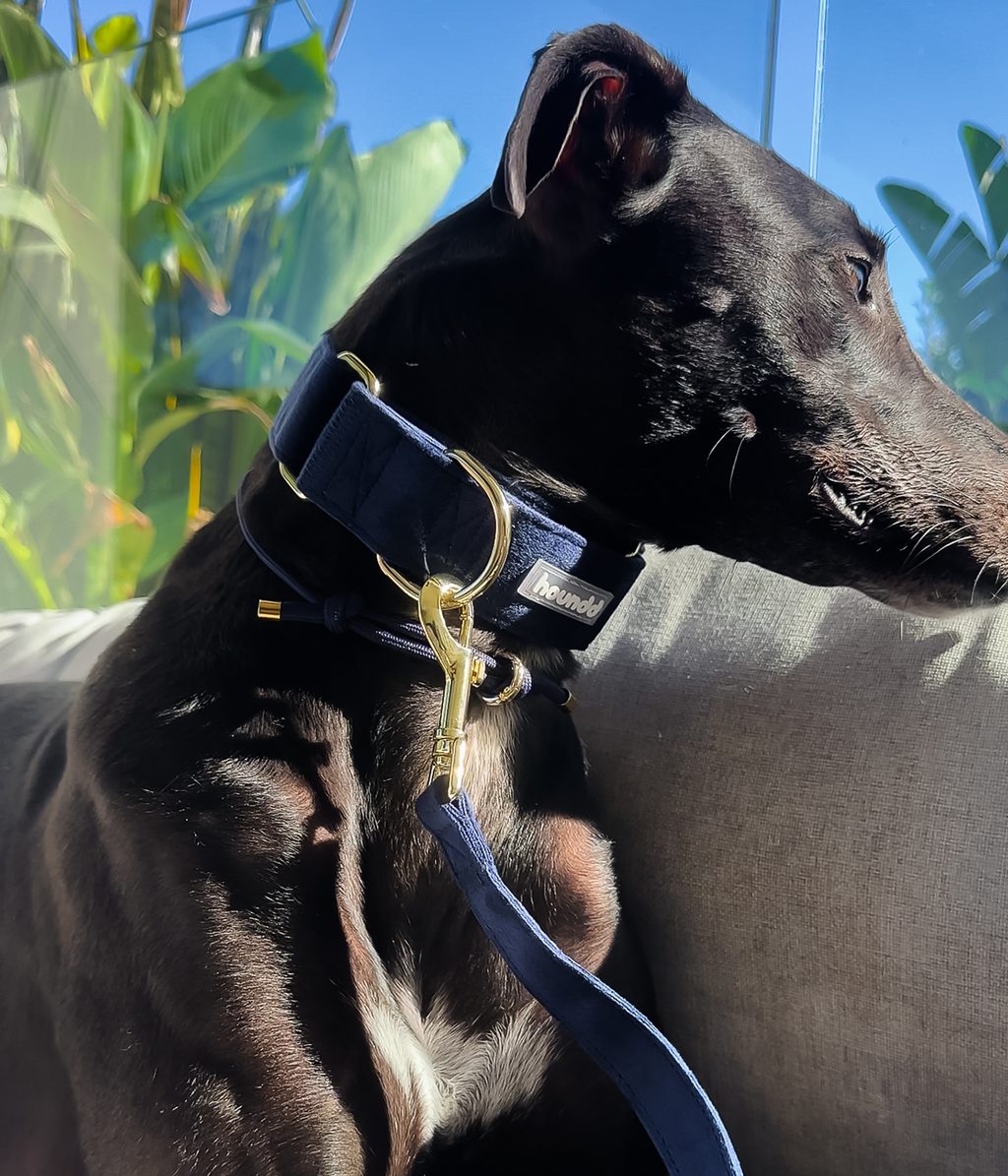 Martingale Collar product image 32