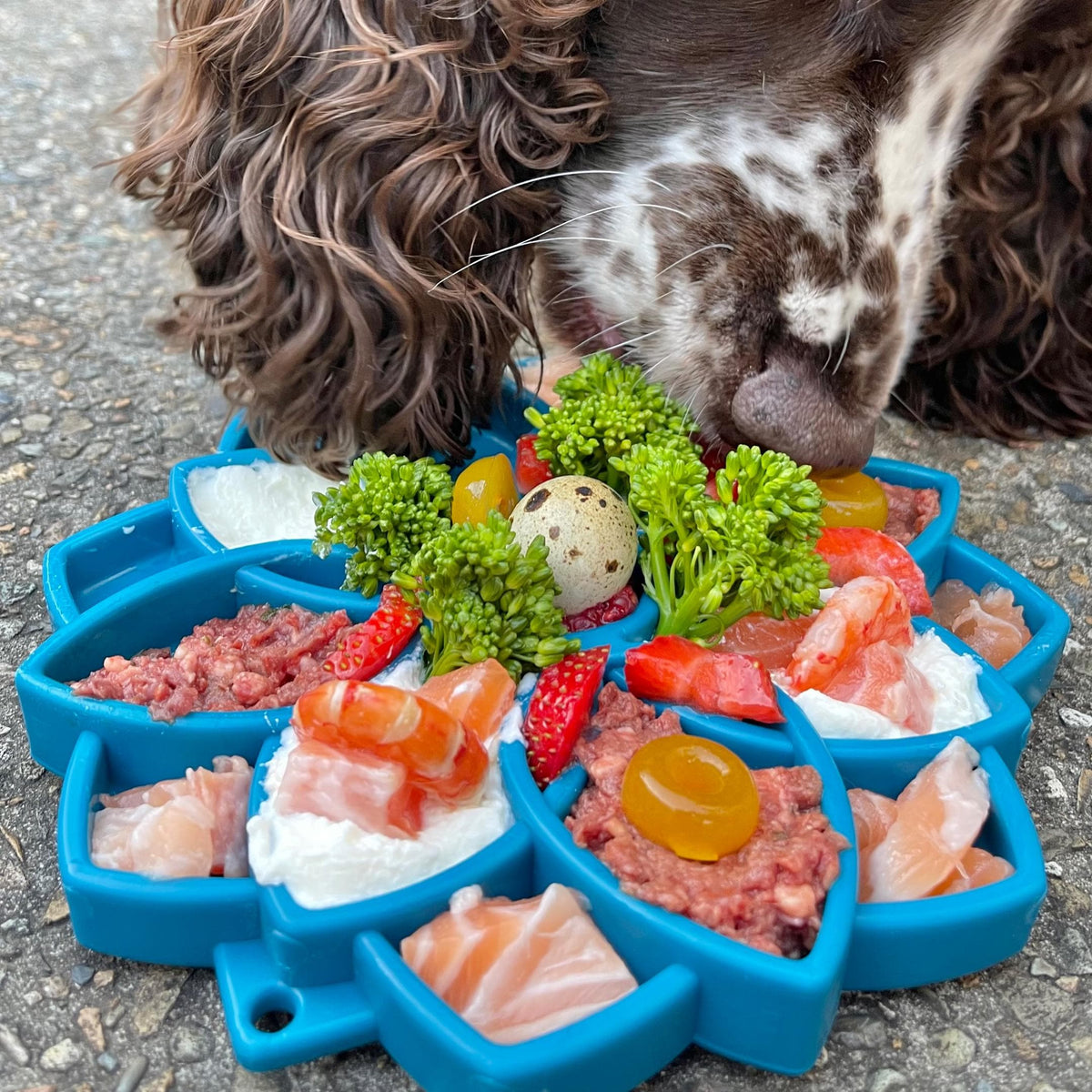 Slow Feeder Dog Bowl product image 2