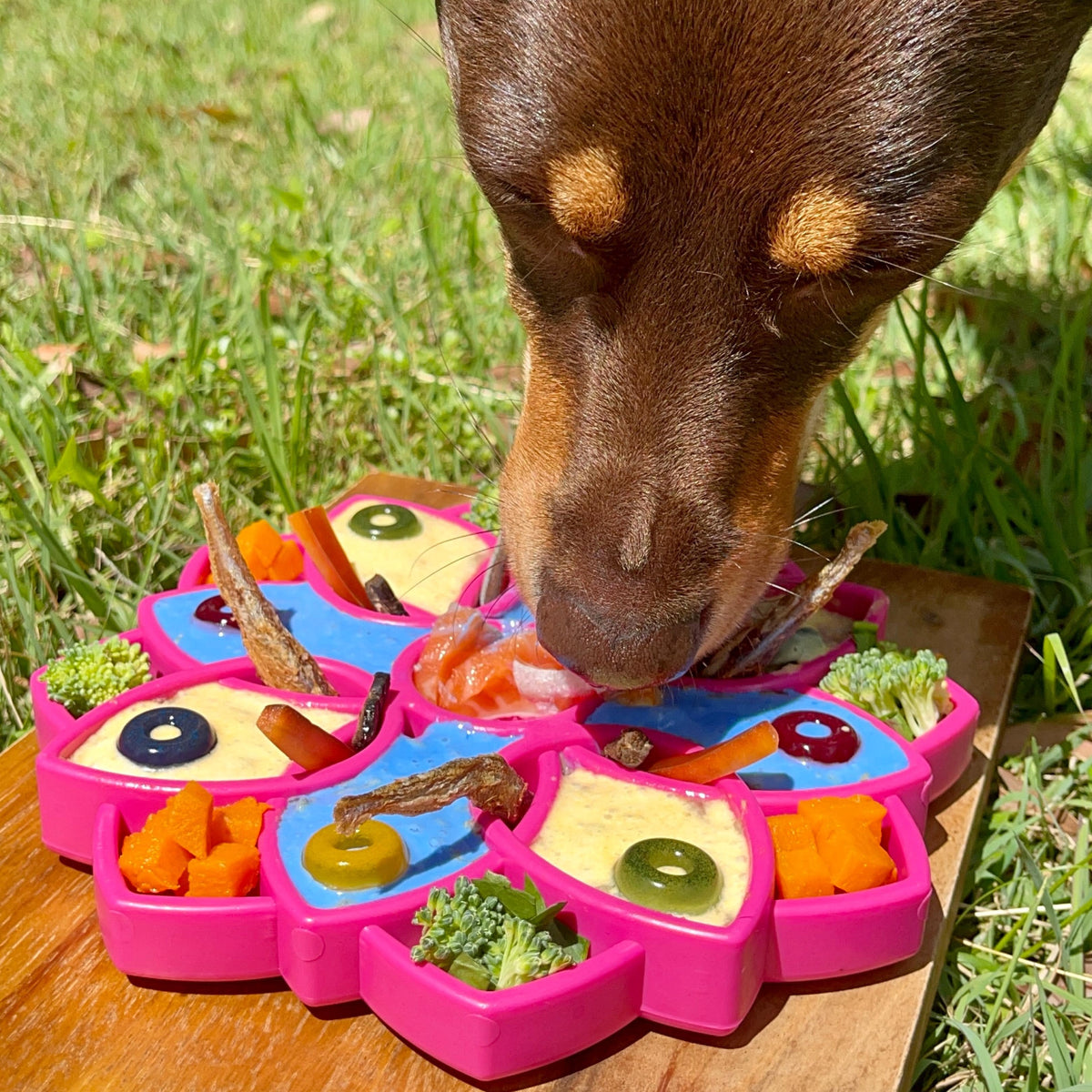 Slow Feeder Dog Bowl product image 3