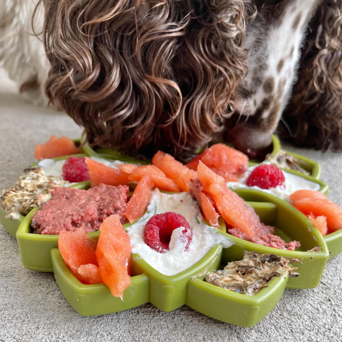 Slow Feeder Dog Bowl product image 4