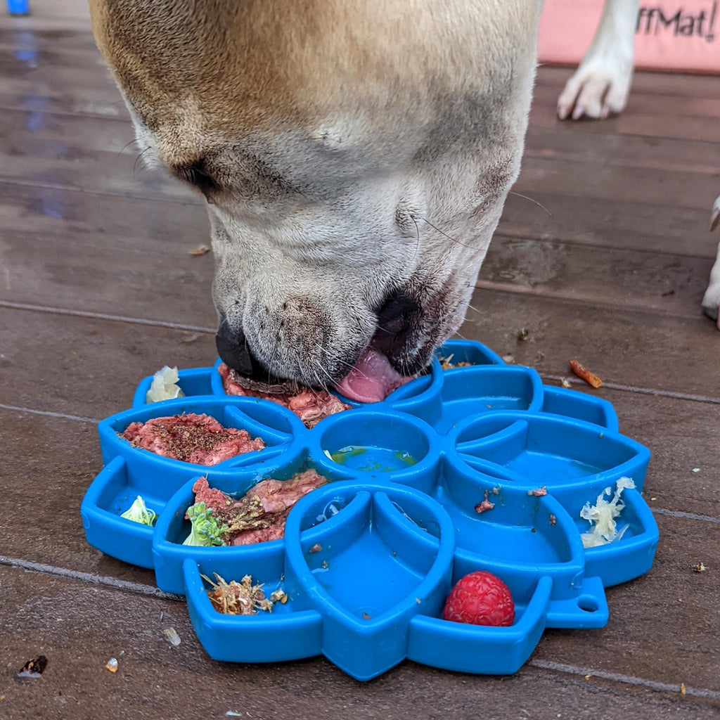 Slow Feeder Dog Bowl product image 5