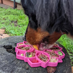 Slow Feeder Dog Bowl product image 6