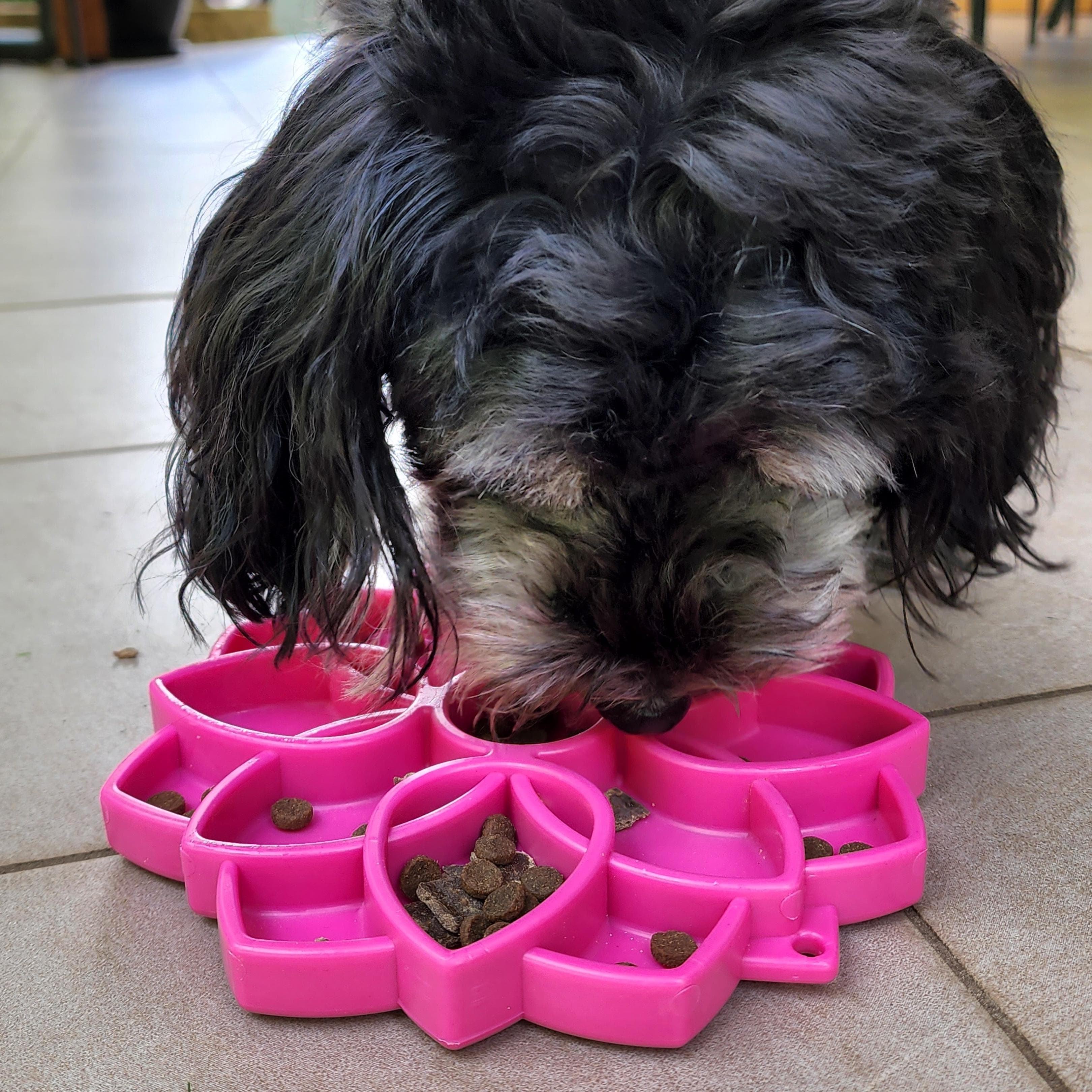Slow Feeder Dog Bowl product image 8