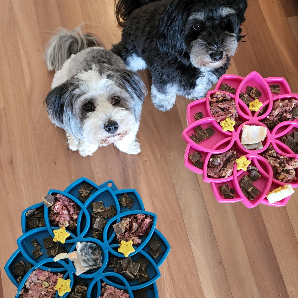 Slow Feeder Dog Bowl product image 9