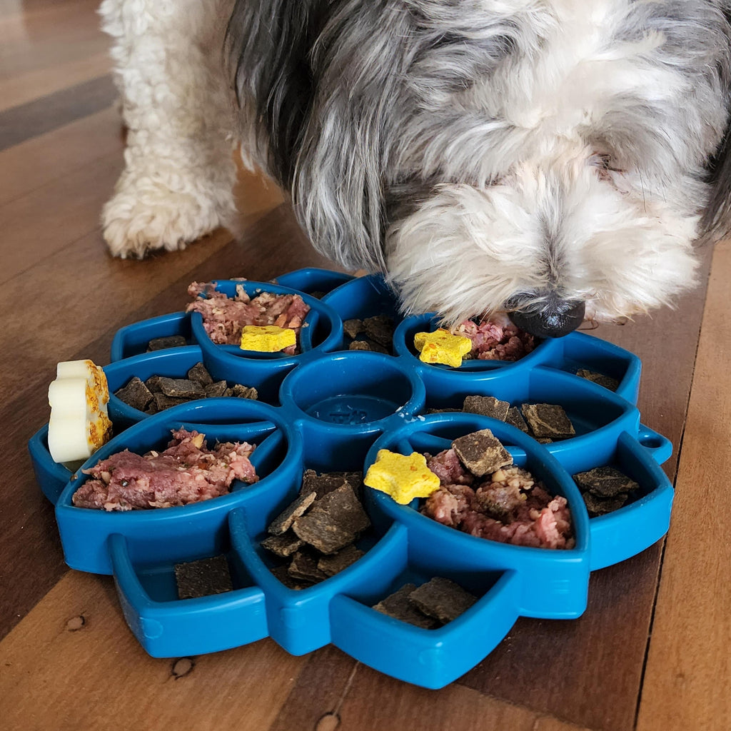 Slow Feeder Dog Bowl product image 11