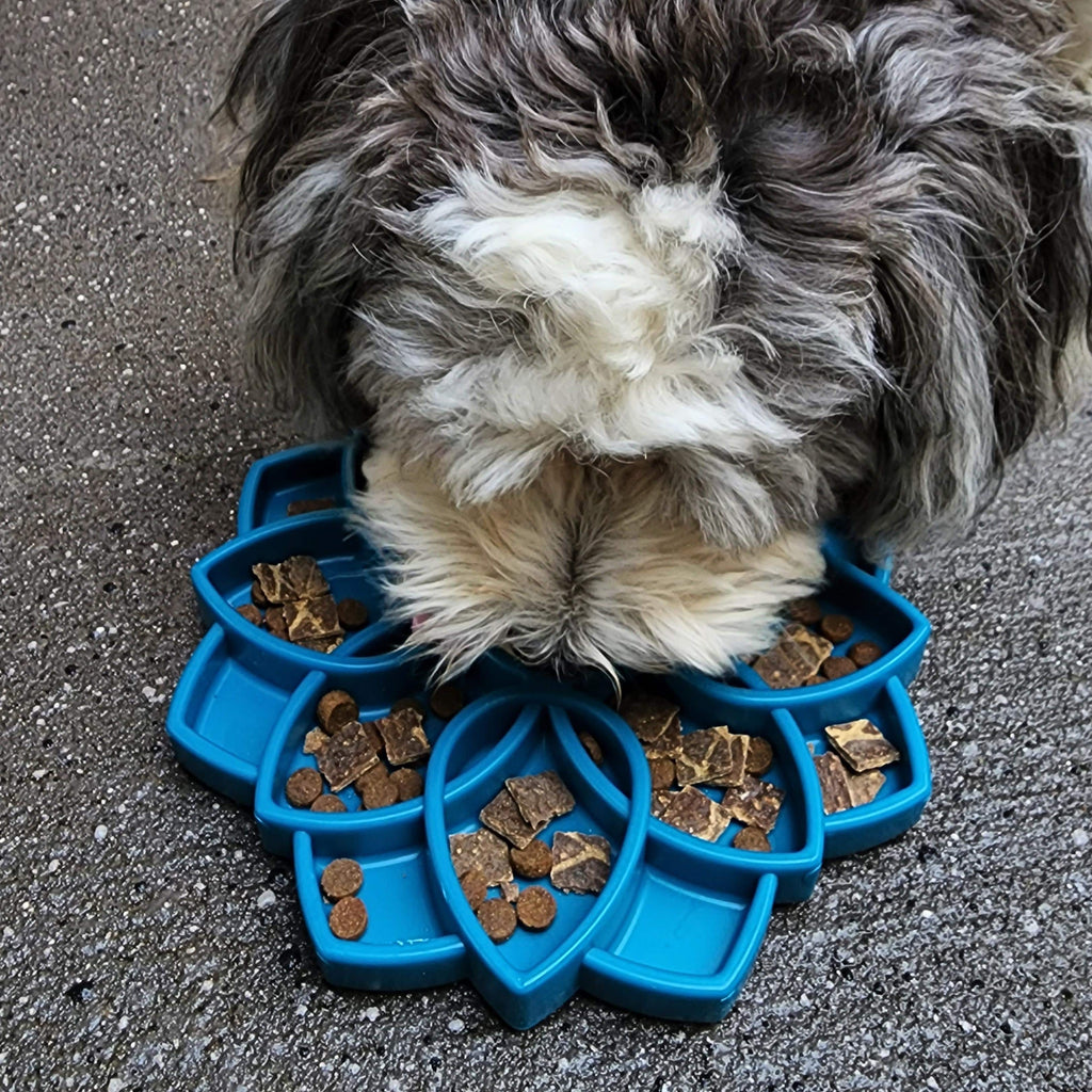 Slow Feeder Dog Bowl product image 13