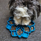Slow Feeder Dog Bowl product image 13