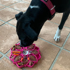 Slow Feeder Dog Bowl product image 21