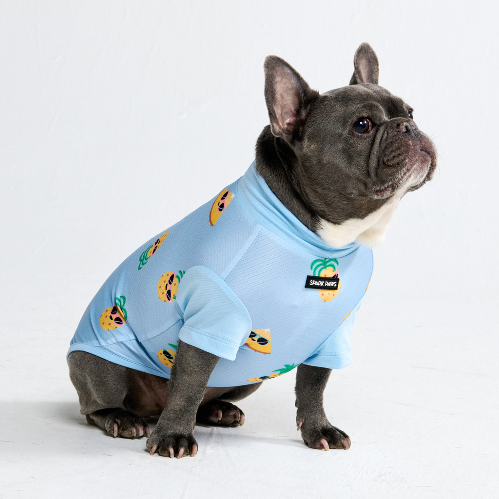 UPF 30 Printed Dog Sun Shirt product image 22
