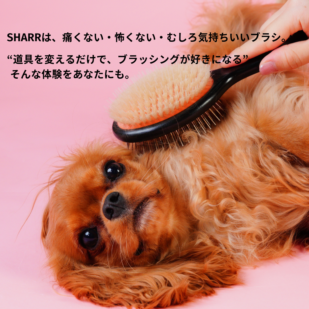 Dual-Sided Pet Grooming Brush product image 17