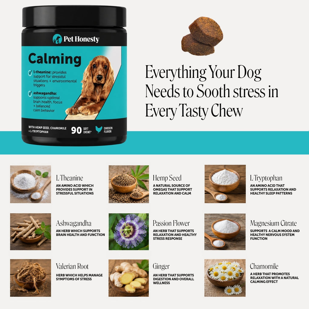 Hemp Calming Soft Chews for Dogs product image 4
