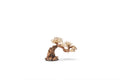 Aquarium Driftwood product image 1