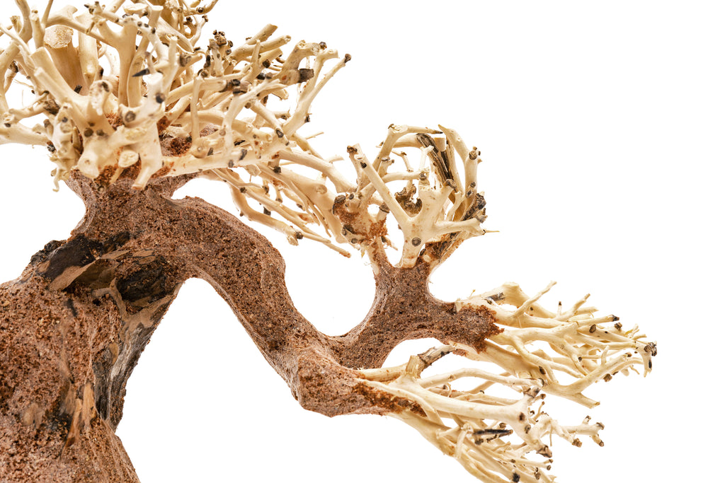 Aquarium Driftwood product image 4