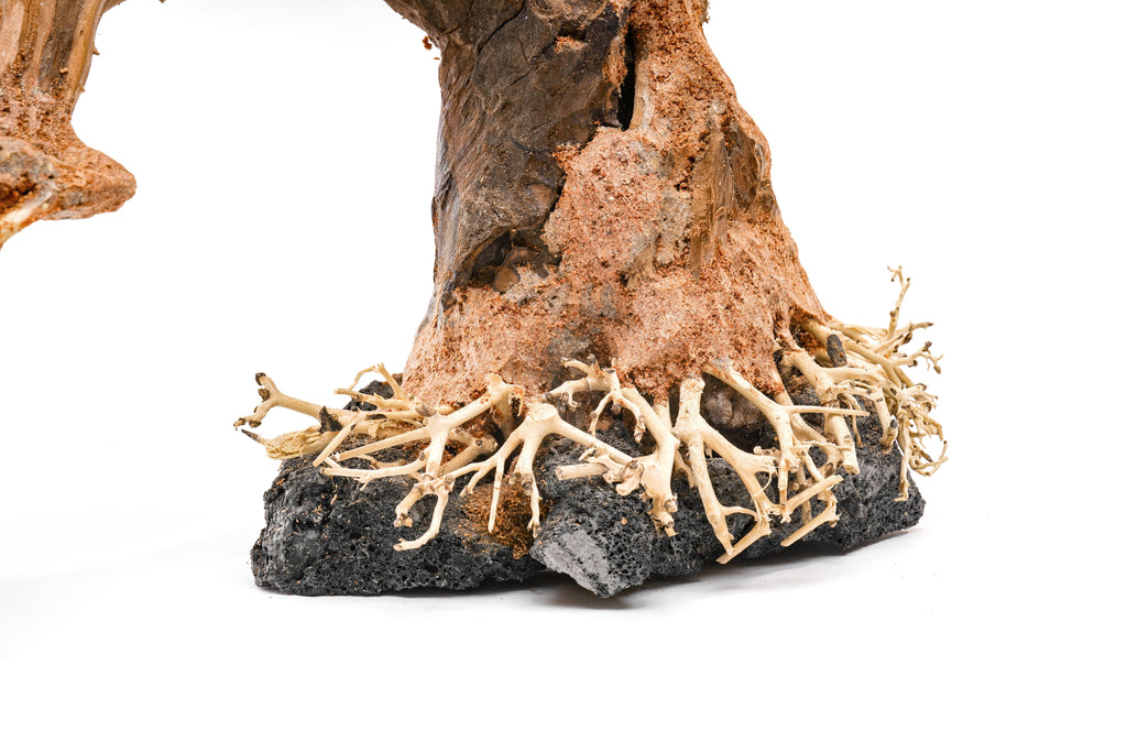 Aquarium Driftwood product image 5