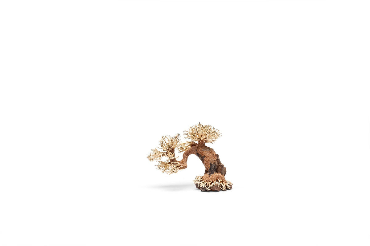 Aquarium Driftwood product image 8