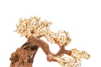 Aquarium Driftwood product image 13