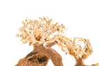 Aquarium Driftwood product image 14