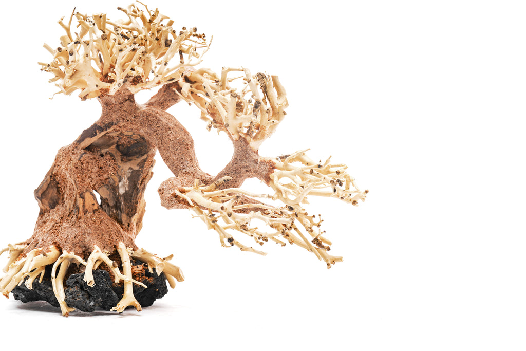 Aquarium Driftwood product image 15